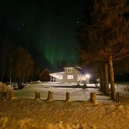 Arctic Lyngen *
