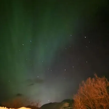 Arctic Lyngen Feriehus Svensby