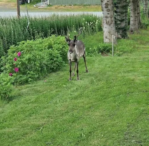 Nyaraló Arctic Lyngen *