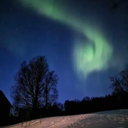 Arctic Lyngen