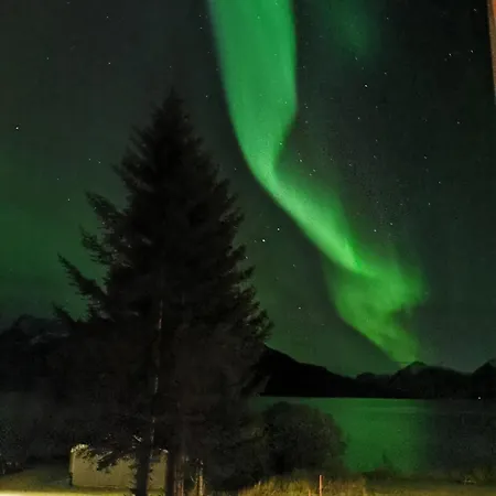 Arctic Lyngen Svensby